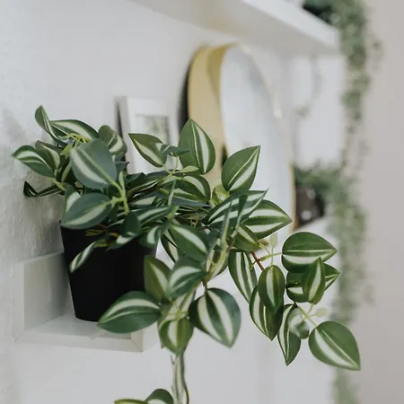 An Der Kirche * شبرمبرغ